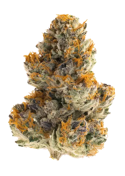 Red Citron
