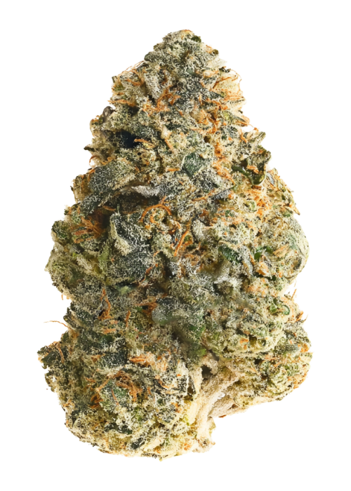 06 OG #67