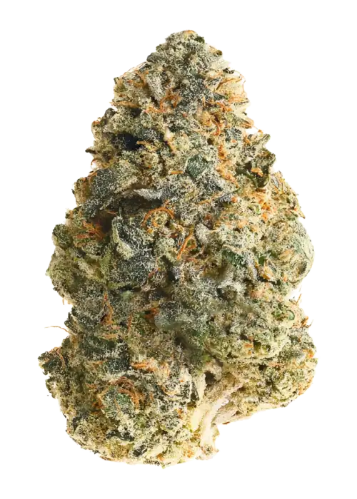 06 OG #67