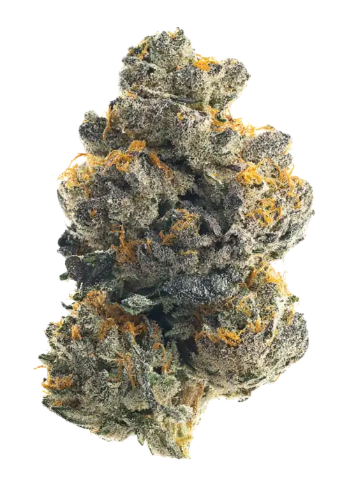 Blu Frootz