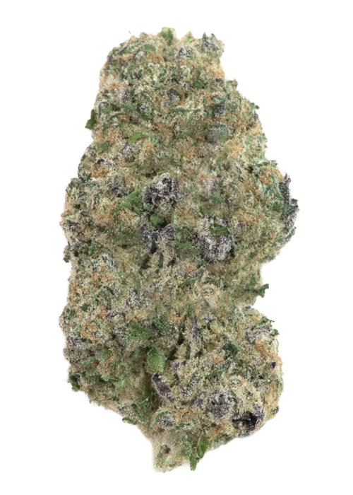 Sour Punch S1