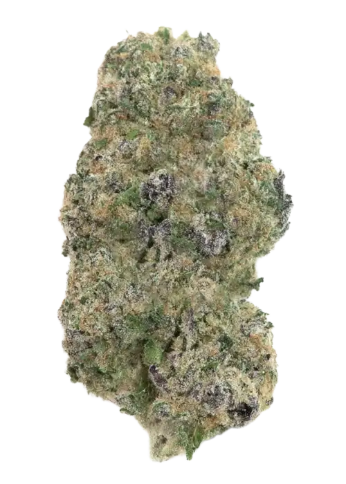 Sour Punch S1