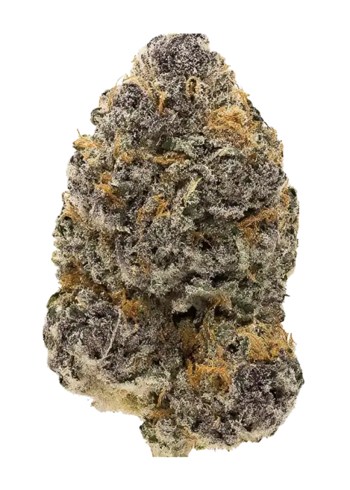 Purple Runtz by Lit Farms
