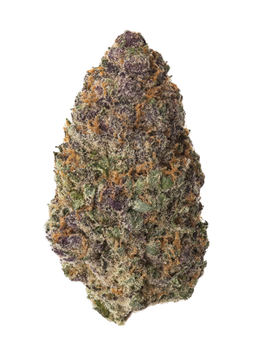 Divine Nectar by Cipher Genetics