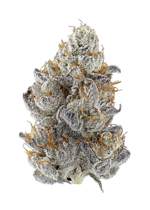 Garlic Banger