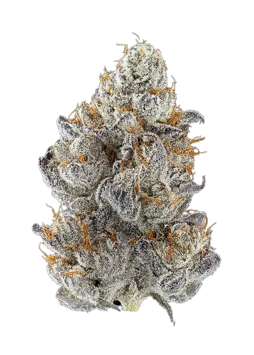 Garlic Banger