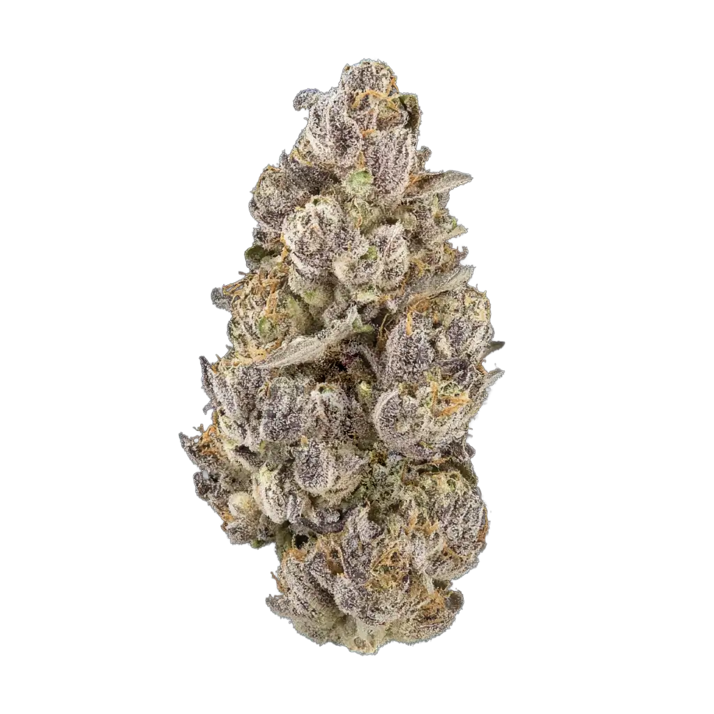 6060-star-fruit.webp