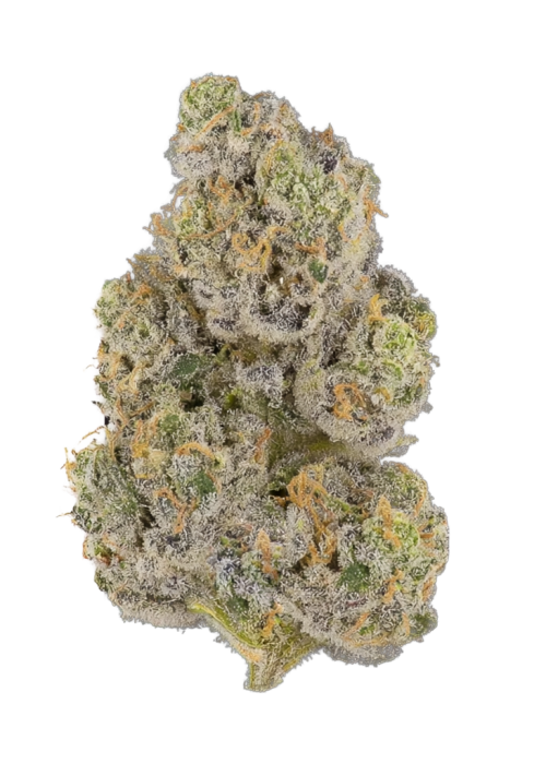 Black Cherry Sherb