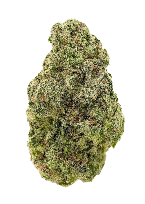 Cherry Noir by Raw Genetics