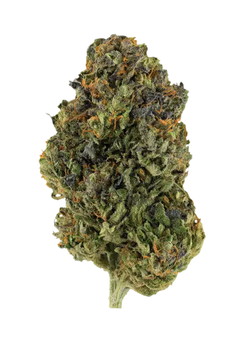 Blue Cherry