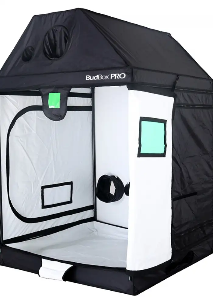 XL-R