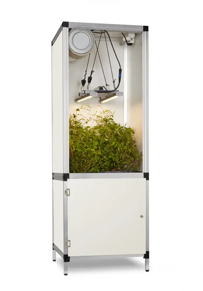 Bonanza G-bars 100W (0,35m2)