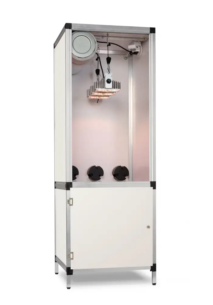Bonanza Sanlight Q3W (0,35m2)