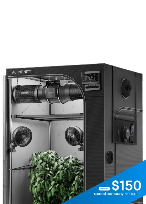 AI Grow Tent System PRO 5x5 Lighting and Air Filtration