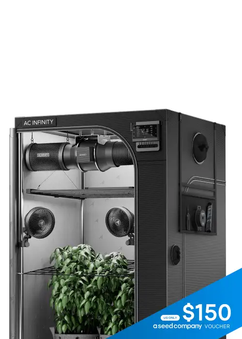 AI Grow Tent System PRO 4x4 Lighting and Air Filtration