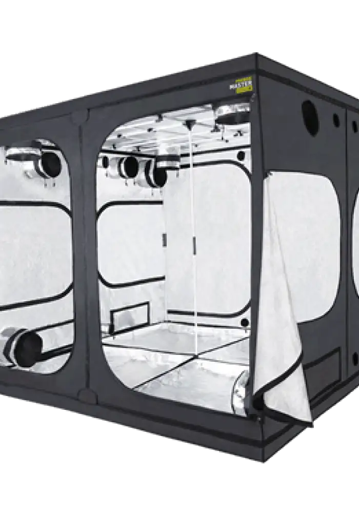 Probox Master 240