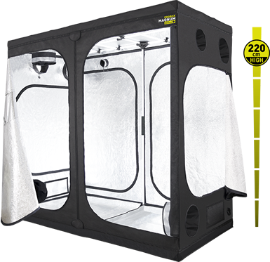 Probox Magnum 240L