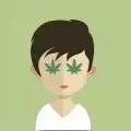 cannaprince