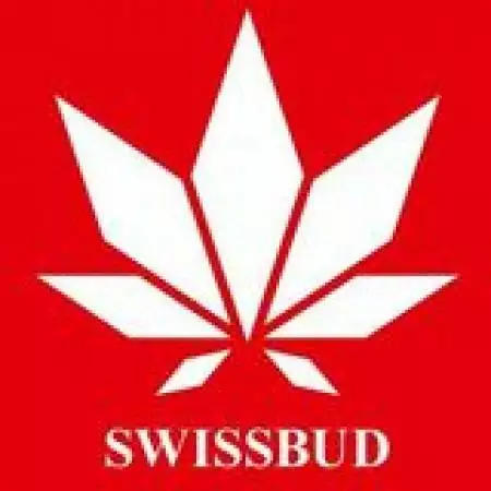 SwissBuds