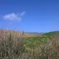 saivvo