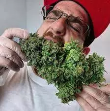 MrCanucksGrow