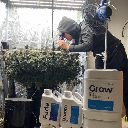 JsGrowShow