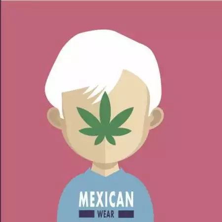 MassBudzNZ