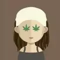 Cannapall