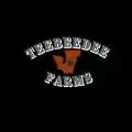 TeebeedeeVT