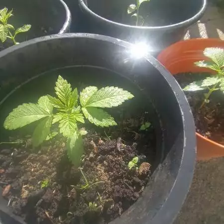 Ezterps22