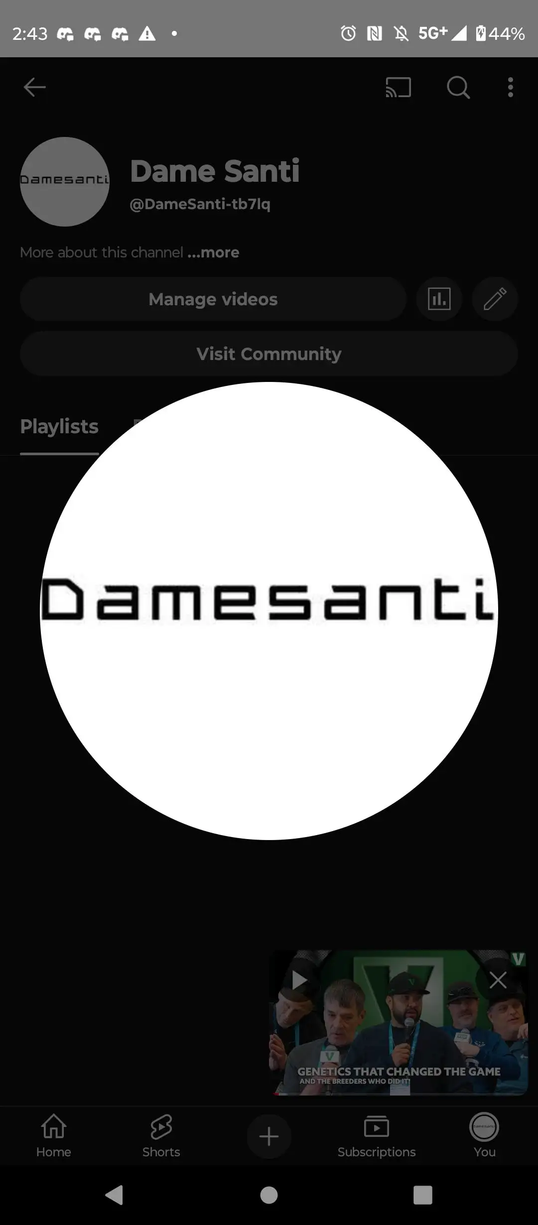 Damesanti
