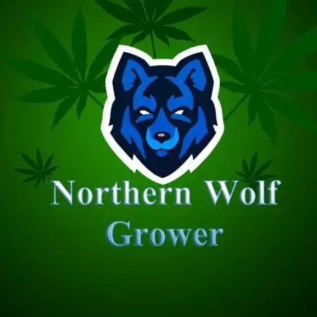 NorthernWolfGrower