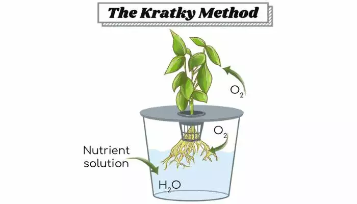 Kratky