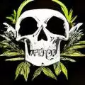oldskull