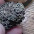 Mr_Kush815