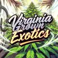 VirginiaGrownExotics