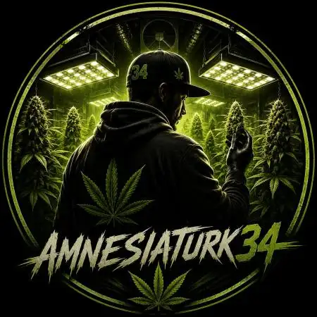 Amnesiaturk34