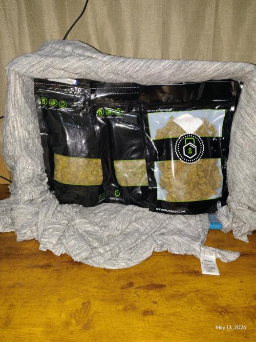null door biggerbud420