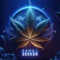 Sensi_Seeker