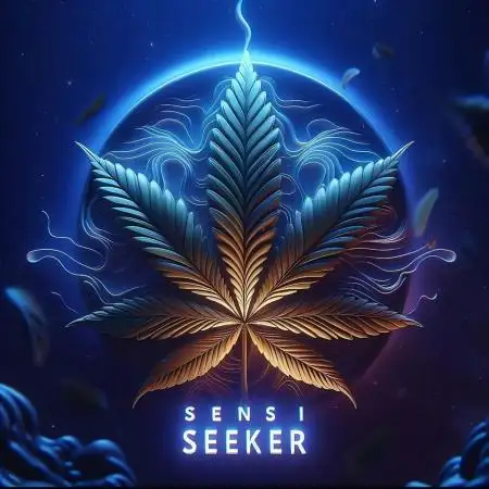 Sensi_Seeker