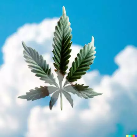 Growhigher420