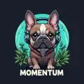 Momentum