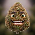 WeedBM