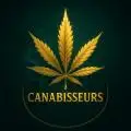 Canabisseurs