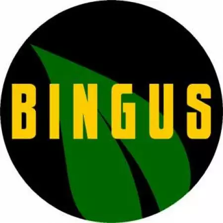 Bingus