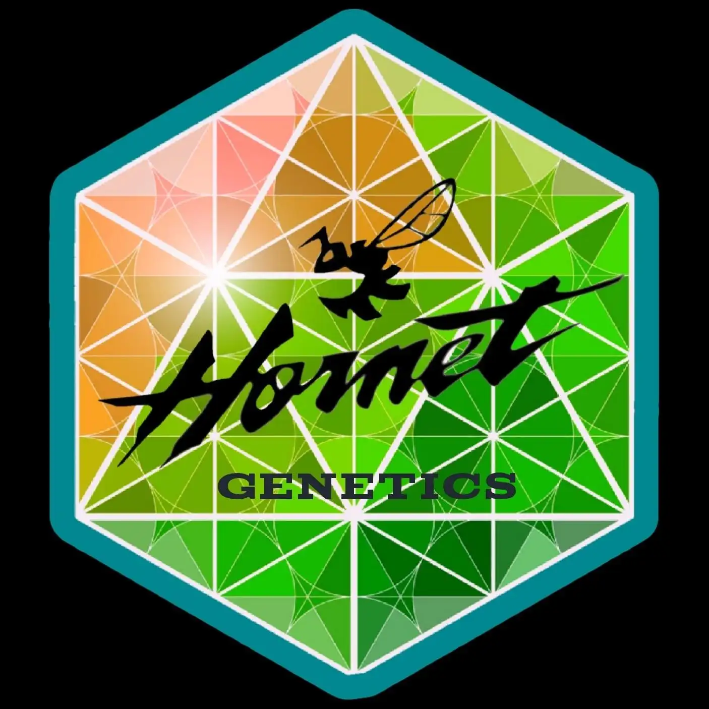Hornetgenetics