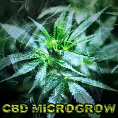 CBDmicrogrow