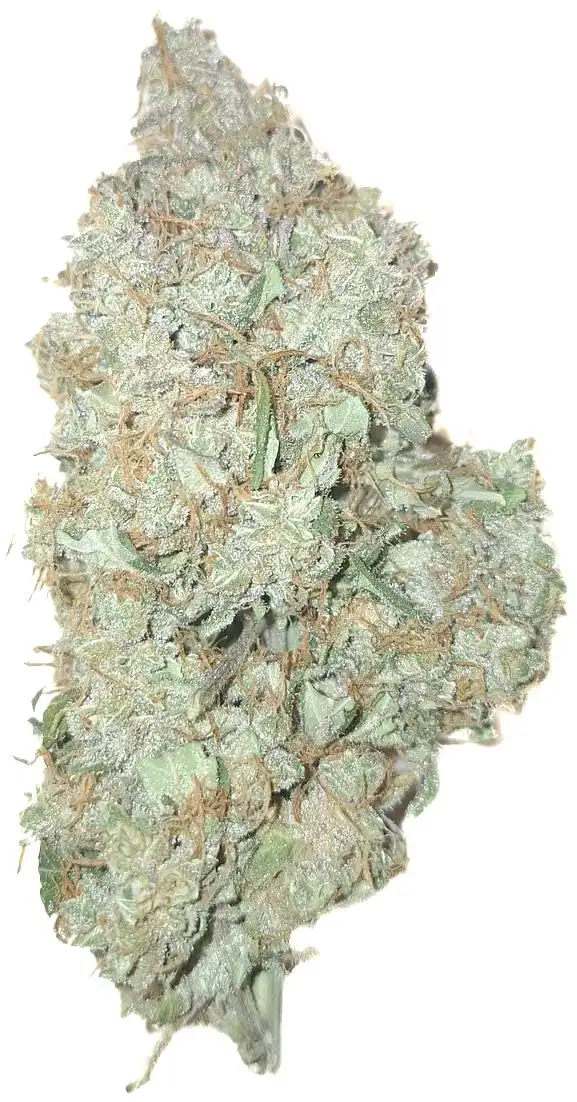 HRTTGrow