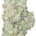 HRTTGrow