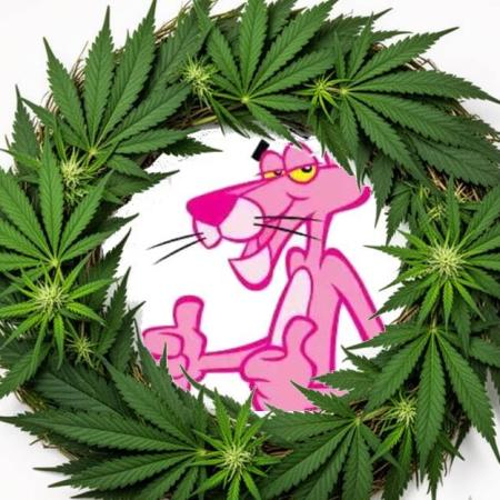 Pflanzkranz